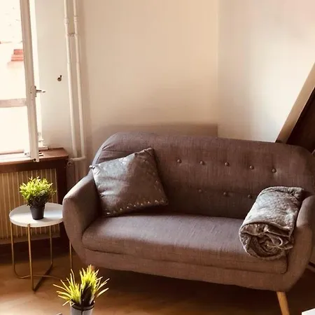 Le Petit Colmarien Hyper-centre *