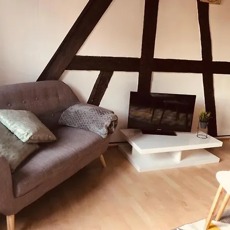 Le Petit Colmarien Hyper-centre Appartement Colmar