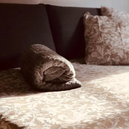 Le Petit Colmarien Hyper-centre Colmar