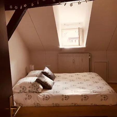 Appartement Le Petit Colmarien Hyper-centre Colmar