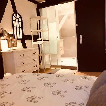 Le Petit Colmarien Hyper-centre