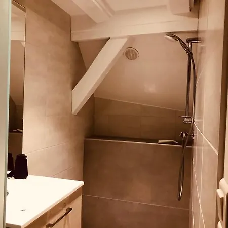 Le Petit Colmarien Hyper-centre Appartement