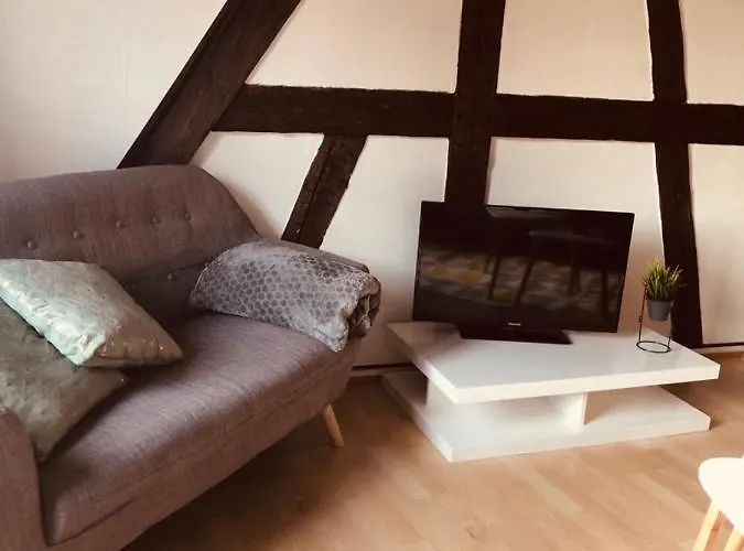 Le Petit Colmarien Hyper-centre Lejlighed Colmar