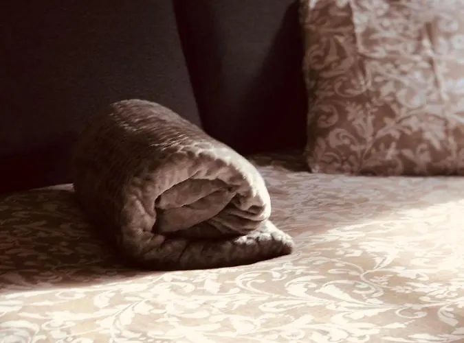 Le Petit Colmarien Hyper-centre コルマール