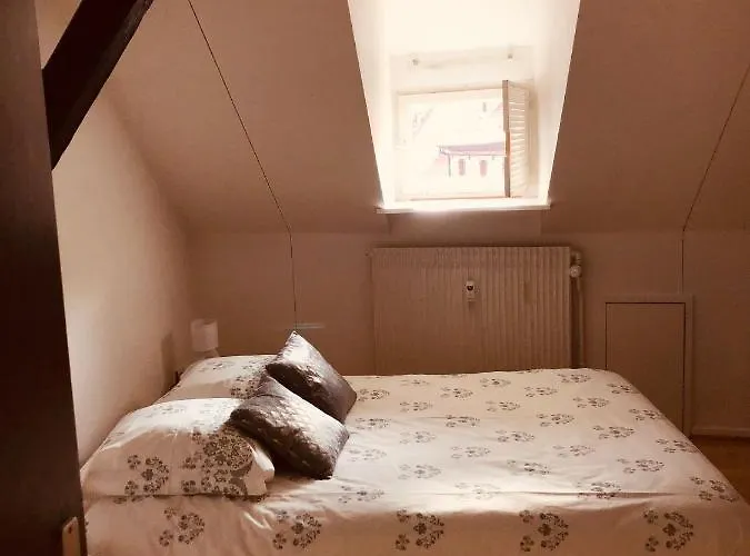 アパート Le Petit Colmarien Hyper-centre コルマール