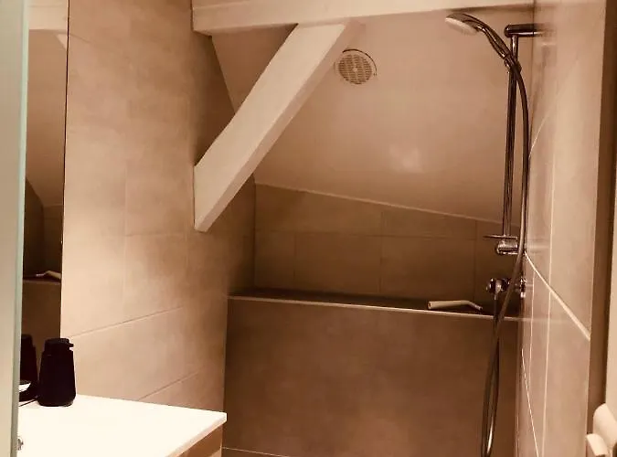 Le Petit Colmarien Hyper-centre Lejlighed